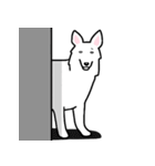 犬種別ホワイトシェパード(英語Ver)（個別スタンプ：24）