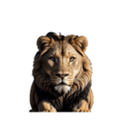 らいおん  Lion（個別スタンプ：1）