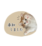 ＃ねここころのままに（個別スタンプ：5）