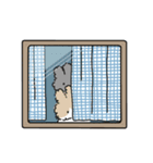 もこもこうさぎのラインスタンプ（個別スタンプ：34）