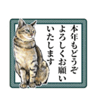 意外と使えるリアル猫の年末年始2024（個別スタンプ：5）