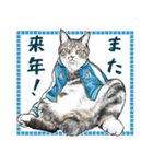 意外と使えるリアル猫の年末年始2024（個別スタンプ：15）