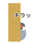 【BIG】干支の辰の被り物を被った文鳥（個別スタンプ：34）