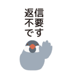 【BIG】干支の辰の被り物を被った文鳥（個別スタンプ：38）