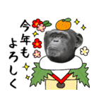 チンパンジーのお正月年賀スタンプ（個別スタンプ：9）