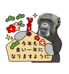 チンパンジーのお正月年賀スタンプ（個別スタンプ：11）