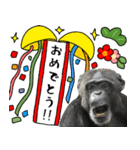 チンパンジーのお正月年賀スタンプ（個別スタンプ：16）
