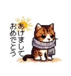 ドット絵 キジトラ 冬 年末年始新年挨拶 猫（個別スタンプ：5）