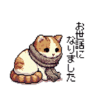 ドット絵 キジトラ 冬 年末年始新年挨拶 猫（個別スタンプ：12）