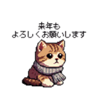 ドット絵 キジトラ 冬 年末年始新年挨拶 猫（個別スタンプ：17）