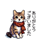 ドット絵 キジトラ 冬 年末年始新年挨拶 猫（個別スタンプ：19）