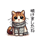 ドット絵 キジトラ 冬 年末年始新年挨拶 猫（個別スタンプ：21）