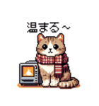 ドット絵 キジトラ 冬 年末年始新年挨拶 猫（個別スタンプ：23）