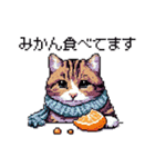 ドット絵 キジトラ 冬 年末年始新年挨拶 猫（個別スタンプ：24）