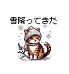 ドット絵 キジトラ 冬 年末年始新年挨拶 猫（個別スタンプ：30）