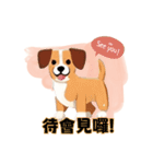 かわいい犬の話（個別スタンプ：13）