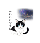 猫と星空⭐︎（個別スタンプ：8）