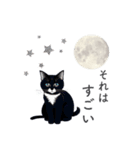 猫と星空⭐︎（個別スタンプ：9）