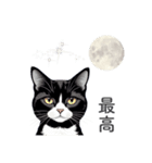 猫と星空⭐︎（個別スタンプ：13）