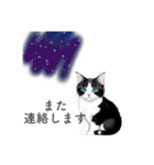 猫と星空⭐︎（個別スタンプ：15）