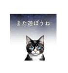 猫と星空⭐︎（個別スタンプ：16）