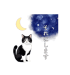 猫と星空⭐︎（個別スタンプ：21）