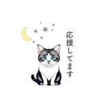 猫と星空⭐︎（個別スタンプ：23）