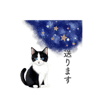 猫と星空⭐︎（個別スタンプ：27）