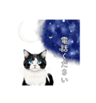 猫と星空⭐︎（個別スタンプ：30）