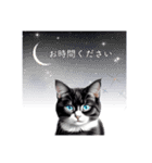 猫と星空⭐︎（個別スタンプ：33）