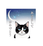 猫と星空⭐︎（個別スタンプ：38）