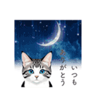 猫と星空⭐︎（個別スタンプ：40）