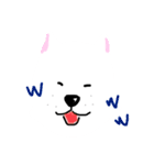 白い犬の顔イラスト（個別スタンプ：40）