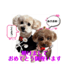 こてあーず（個別スタンプ：3）