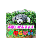 こてあーず（個別スタンプ：4）