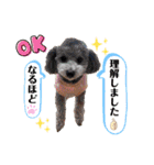 こてあーず（個別スタンプ：7）