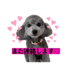 こてあーず（個別スタンプ：11）