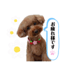 こてあーず（個別スタンプ：18）
