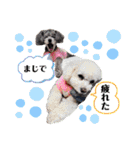 こてあーず（個別スタンプ：22）
