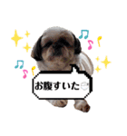 こてあーず（個別スタンプ：26）