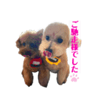 こてあーず（個別スタンプ：27）
