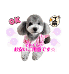 こてあーず（個別スタンプ：31）