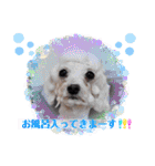 こてあーず（個別スタンプ：32）