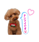 こてあーず（個別スタンプ：37）