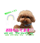 こてあーず（個別スタンプ：38）