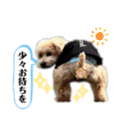 こてあーず（個別スタンプ：39）