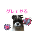 幸せを呼ぶ犬 ハッピーちゃん（個別スタンプ：20）