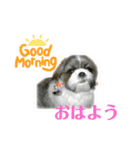 幸せを呼ぶ犬 ハッピーちゃん（個別スタンプ：23）