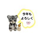辰年にゃん ＆ 辰年ワンこ（個別スタンプ：2）