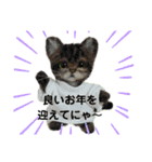 辰年にゃん ＆ 辰年ワンこ（個別スタンプ：15）